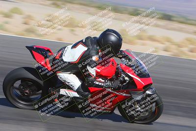 media/Nov-11-2023-SoCal Trackdays (Sat) [[efd63766ff]]/Turn 12 Inside (940am)/